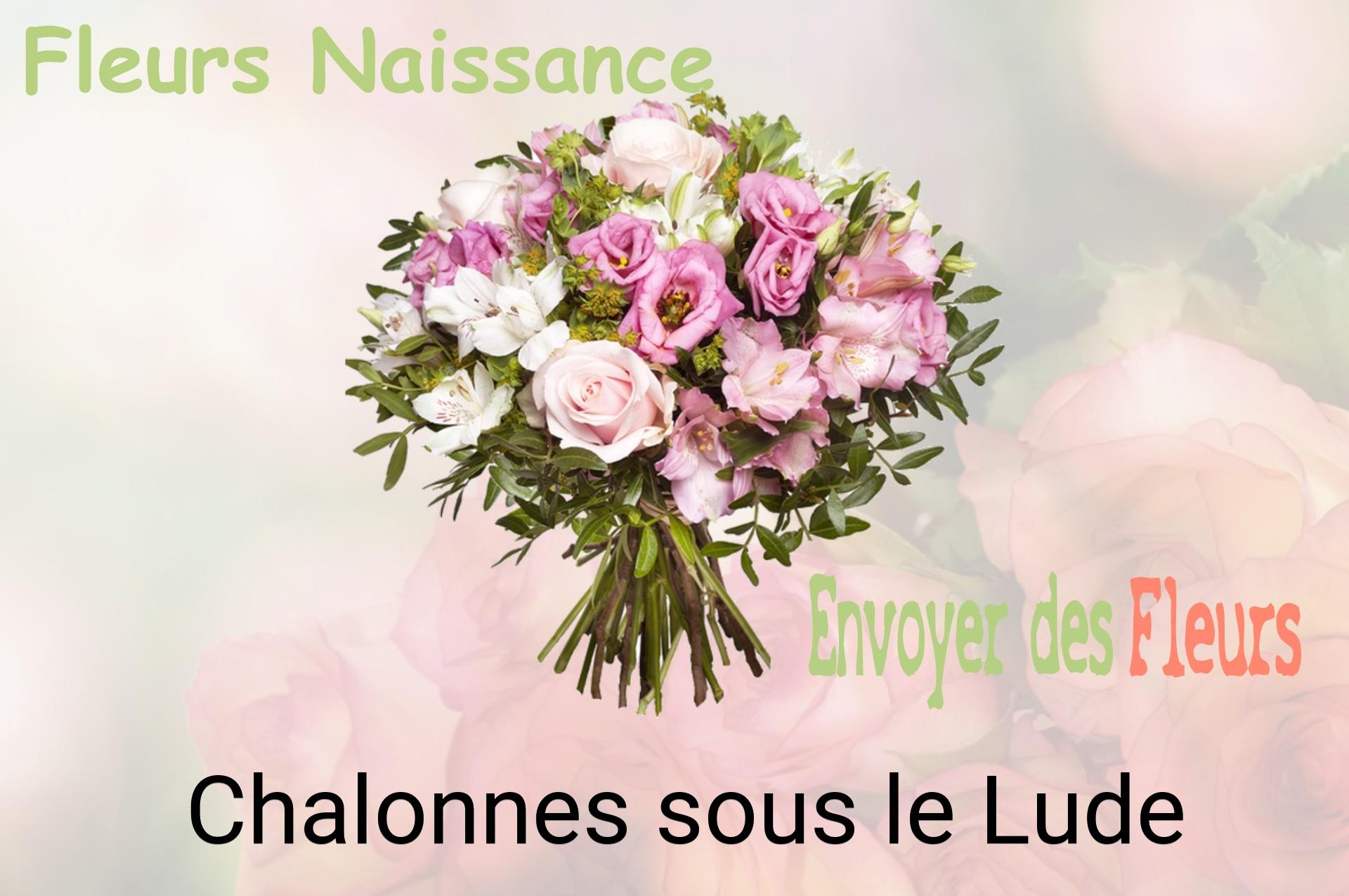 Bouquet de fleurs de naissance livré à Chalonnes-sous-le-Lude