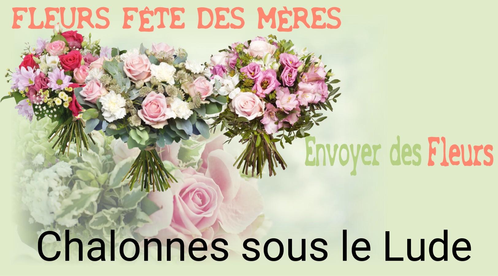Bouquet de Fête des Mères livré à Chalonnes-sous-le-Lude
